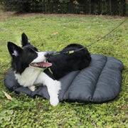 Pet Outdoor Water-resistant Cushion Camping Cats And Dog Sleeping Pad, Size: Large 110x76cm(Grey)