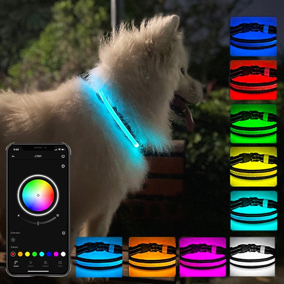 LED Rechargeable Wear-resistant and Water-resistant Pet Lighting Collar, Size: M(Black)