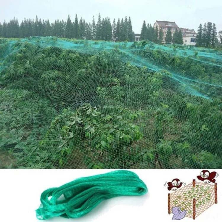 4Mx5M  Anti Bird Protection Net Mesh Garden Plant Netting Protect Plants and Fruit - Garden Netting by PMC TechLife | Online Shopping South Africa | PMC TechLife | Buy Now Pay Later Mobicred