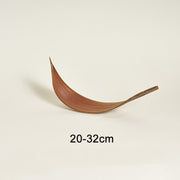 20-32 cm Cocoa Leaves Natural Plant Shooting Props Dry Flower Ornaments