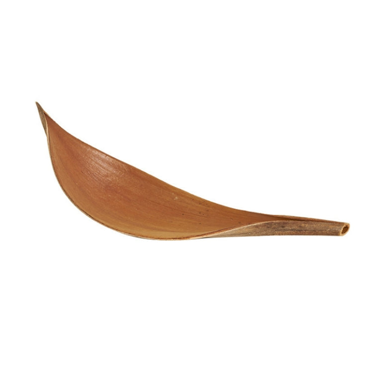 35-39 cm Cocoa Leaves Natural Plant Shooting Props Dry Flower Ornaments - Other Props by PMC TechLife | Online Shopping South Africa | PMC TechLife | Buy Now Pay Later Mobicred