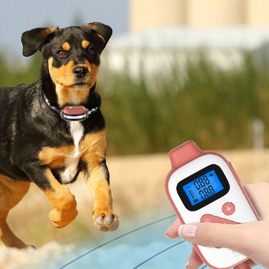 PaiPaitek PD523 1000m Remote Control Rechargeable Waterproof Dog Trainer - free shipping - PMC Jewellery - Order now!