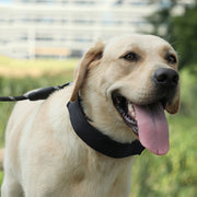 Cloth Tape Paste Detachable Training Stimulation Dog Collar, Size: S 2.5mm x 35cm(Ordinary)