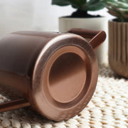 300ML Stainless Steel Watering Can with Long Spout(Bronze)