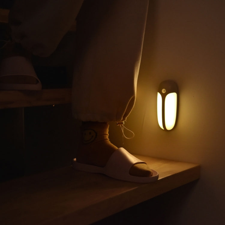 USB Rechargeable Firefly Smart Body Sensor LED Light(White Light) - Sensor LED Lights by PMC TechLife | Online Shopping South Africa | PMC TechLife | Buy Now Pay Later Mobicred
