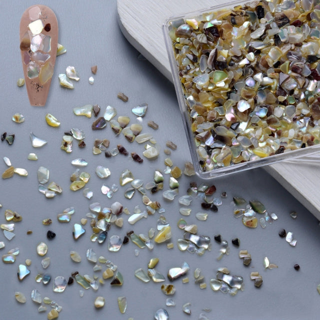 Nail Art Decoration Seashell Fragment Nail Decoration, Style: 06 Mixed Color