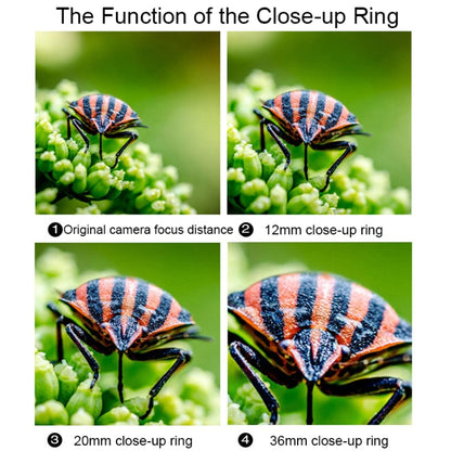 For Canon EOS Series VILTROX DG-C Camera Automatic Close-up Ring Macro Mount - free shipping - PMC Jewellery - Order now!