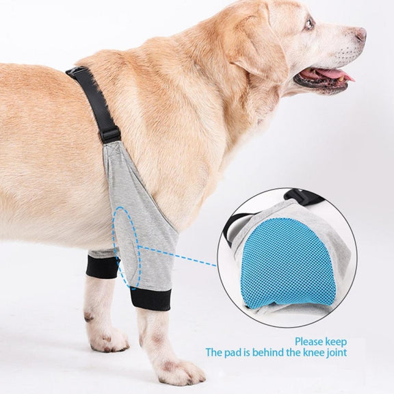 Pet Knee Pads Breathable Dog Elbow Brace Front Leg Brace, Size: XXL(Gray Black)