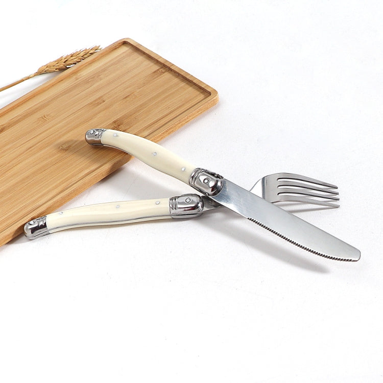 Stainless Steel Knife Fork Spoon Set Plastic Handle Western Tableware, Specification: 6 Tea Spoons - Cutlery Sets by PMC TechLife | Online Shopping South Africa | PMC TechLife