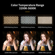 E800 RGB Color 40W 3200K-5600K LED Flat Panel Lights Live Broadcast Fill Light,EU Plug