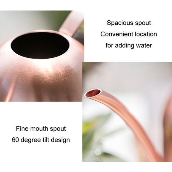 450ML Stainless Steel Long Mouth Gardening Watering Pot(Sand Gold)