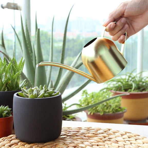 450ML Stainless Steel Long Mouth Gardening Watering Pot(Sand Gold)