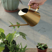 Household Gardening Stainless Steel Long Spout Watering Pot, Size: 900ML(Gold)