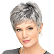 Wig-335 Mixed Silver Gray Ladies Short Straight Hair Wig High Temperature Silk Chemical Fiber Headgear - free shipping - PMC TechLife - Order now!