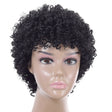 WIG-T003 Ladies High Temperature Silk Short Curly Wig Elastic Mesh Headgear(Black) - free shipping - PMC TechLife - Order now!