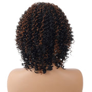 WIG-T130H Ladies Short Curly Hair High Temperature Silk Wig Chemical Fiber Headgear(Black Brown)