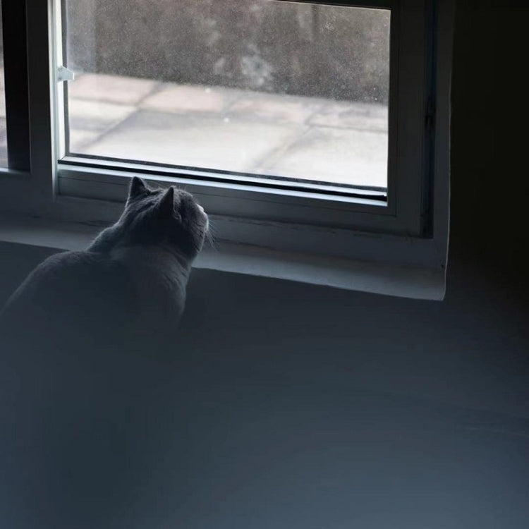 150mm +1 Handheld Diopter Blur Special Effect Photography Camera Accessories - Other Filter by PMC TechLife | Online Shopping South Africa | PMC TechLife | Buy Now Pay Later Mobicred