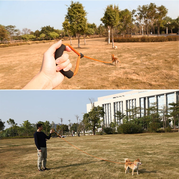 Sh36 Rock Climbing Rope Pet Leash Bold and Long Dog Training Tracking Rope, Size: 10m(10mm Light Blue) - Leashes & Chest Strap by PMC TechLife | Online Shopping South Africa | PMC TechLife | Buy Now Pay Later Mobicred