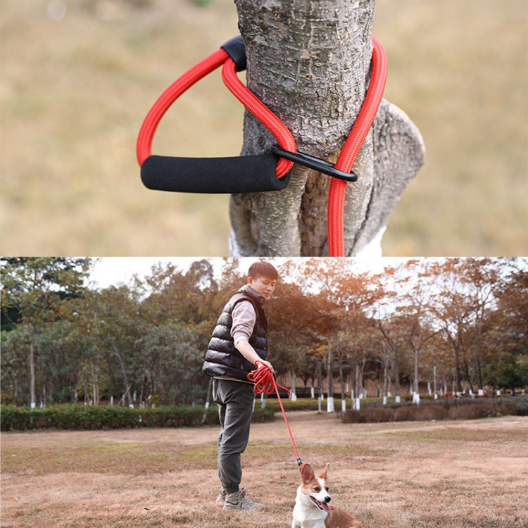 Sh36 Rock Climbing Rope Pet Leash Bold and Long Dog Training Tracking Rope, Size: 10m(13mm Light Blue)