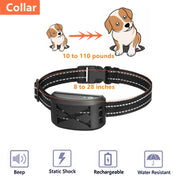 2-In-1 Electric Dog Fence & Remote Training Collar Adjustable Vibration & Shock For 1 Dog(Black)