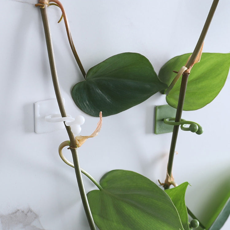 Medium 50pcs Plant Climbing Wall Buckle Vine Traceless Plant Fixer Self-Adhesive Hooks(Green) - Plant Support & Care by PMC TechLife | Online Shopping South Africa | PMC TechLife