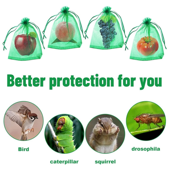 100pcs /Pack  Fruit Protection Bag Anti-Insect And Anti-Bird Net Bag 13 x 18cm(Black)