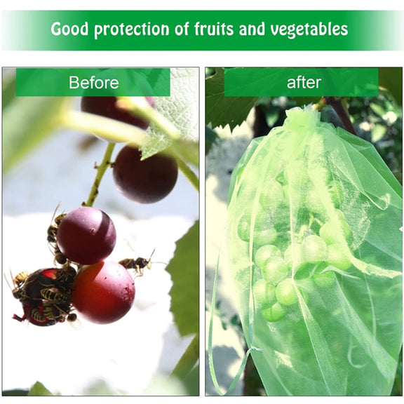 100pcs /Pack  Fruit Protection Bag Anti-Insect And Anti-Bird Net Bag 13 x 18cm(Black)