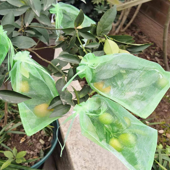 100pcs /Pack  Fruit Protection Bag Anti-Insect And Anti-Bird Net Bag 13 x 18cm(Black)