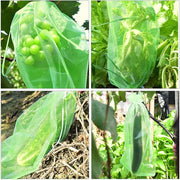 100pcs /Pack  Fruit Protection Bag Anti-Insect And Anti-Bird Net Bag 13 x 18cm(Black)