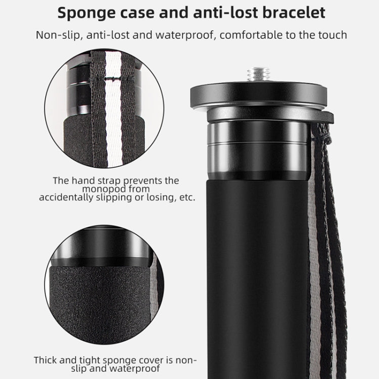 BEXIN P365CF-S Carbon Fiber Monopod Travel Shooting Mobile Phone Live Selfie Bracket Retractable Portable Monopod - Monopods by BEXIN | Online Shopping South Africa | PMC TechLife | Buy Now Pay Later Mobicred