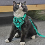 Pet Vest Harness + Traction Rope Set Reflective Breathable Dog Cat Harness, Size: L(Coffee)