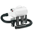 2100W Dog Dryer Stepless Speed Pet Hair Blaster Pet Water Blower 220V EU Plug(Pure White) - Blower & Drying by PMC TechLife | Online Shopping South Africa | PMC TechLife | Buy Now Pay Later Mobicred