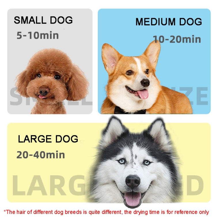 2100W Dog Dryer Stepless Speed Pet Hair Blaster Pet Water Blower 220V EU Plug(Pure White)