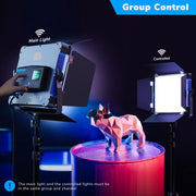 Pixel P80 60W 2600-10000K 542 LEDs Photography Fill Light Support Mobile APP Remote Control,US Plug