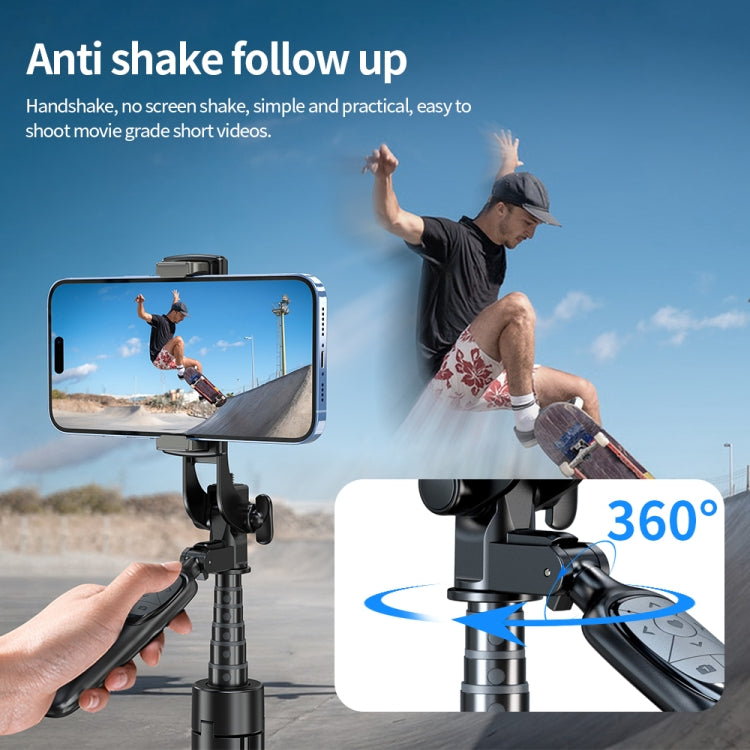 Pixel ST2 1.6m Anti Shake Selfie Stick Head Tripod Handheld Portable Folding Remote Control Outdoor Photo Stands(With Bluetooth Remote Control) - Selfie Sticks by Pixel | Online Shopping South Africa | PMC TechLife | Buy Now Pay Later Mobicred