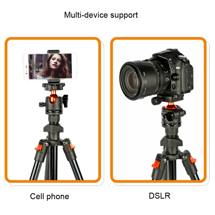 TRIOPO K268+KJ36 DSLR Tripod Photography Stand Portable Cell Phone Micro SLR Tripod - free shipping - PMC TechLife - Order now!