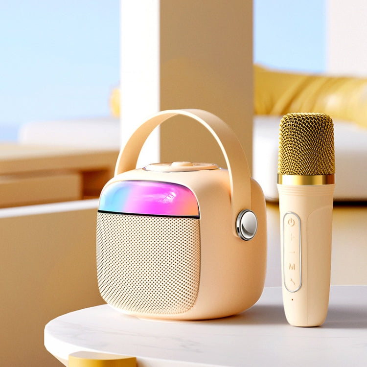 Havit P1 Portable Singing Home Wireless Bluetooth Speaker Microphone Set, Style: Dual-microphone - free shipping - PMC Jewellery - Order now!
