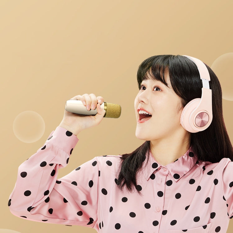 Havit P1 Portable Singing Home Wireless Bluetooth Speaker Microphone Set, Style: Dual-microphone - free shipping - PMC Jewellery - Order now!