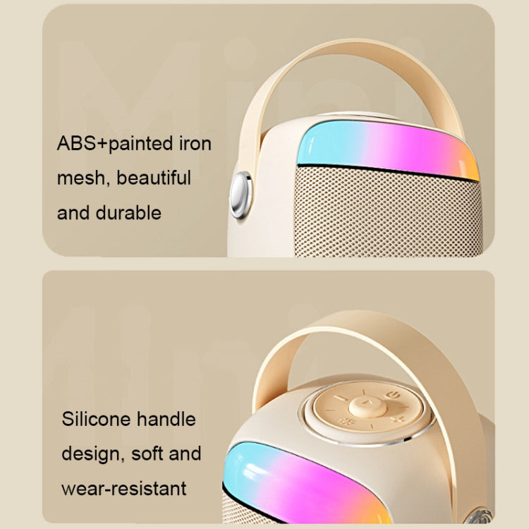 Havit P1 Portable Singing Home Wireless Bluetooth Speaker Microphone Set, Style: Dual-microphone - free shipping - PMC Jewellery - Order now!