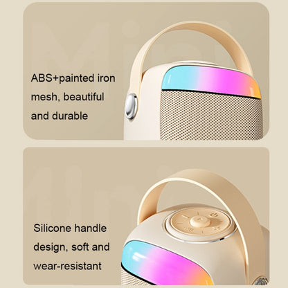Havit P1 Portable Singing Home Wireless Bluetooth Speaker Microphone Set, Style: Dual-microphone - free shipping - PMC Jewellery - Order now!