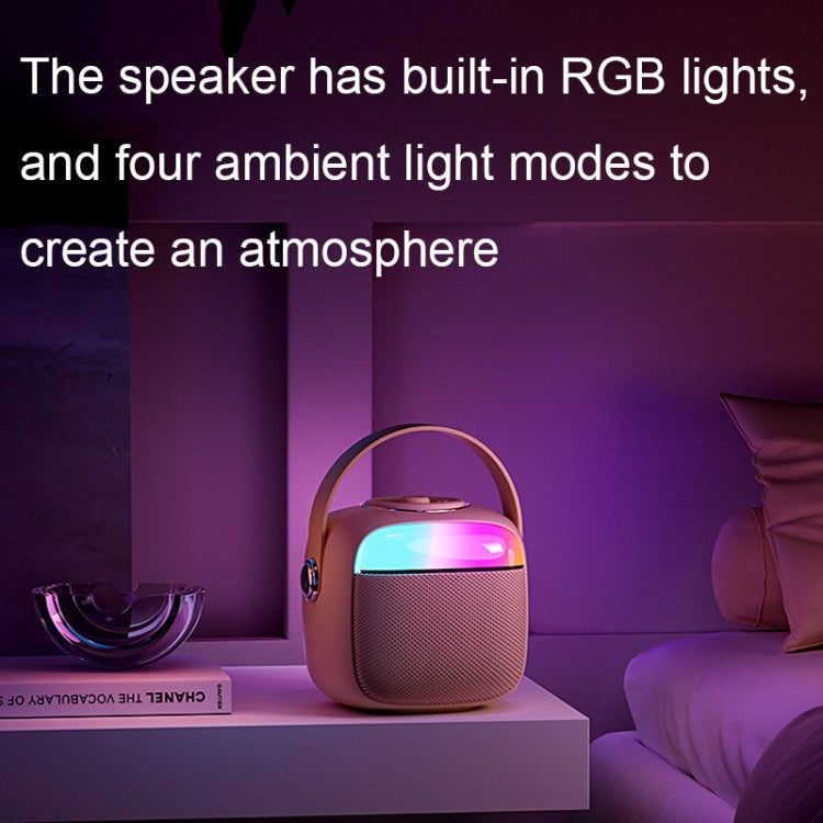 Havit P1 Portable Singing Home Wireless Bluetooth Speaker Microphone Set, Style: Dual-microphone - free shipping - PMC Jewellery - Order now!