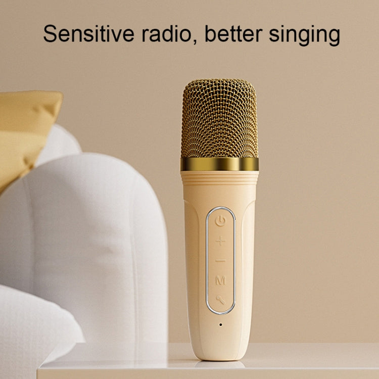 Havit P1 Portable Singing Home Wireless Bluetooth Speaker Microphone Set, Style: Dual-microphone - free shipping - PMC Jewellery - Order now!