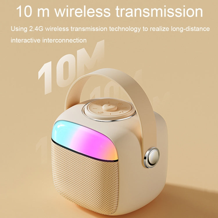 Havit P1 Portable Singing Home Wireless Bluetooth Speaker Microphone Set, Style: Dual-microphone - free shipping - PMC Jewellery - Order now!