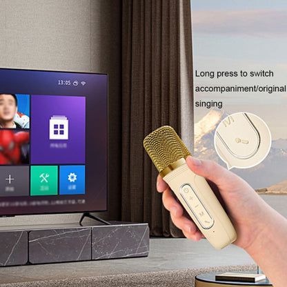 Havit P1 Portable Singing Home Wireless Bluetooth Speaker Microphone Set, Style: Dual-microphone - free shipping - PMC Jewellery - Order now!