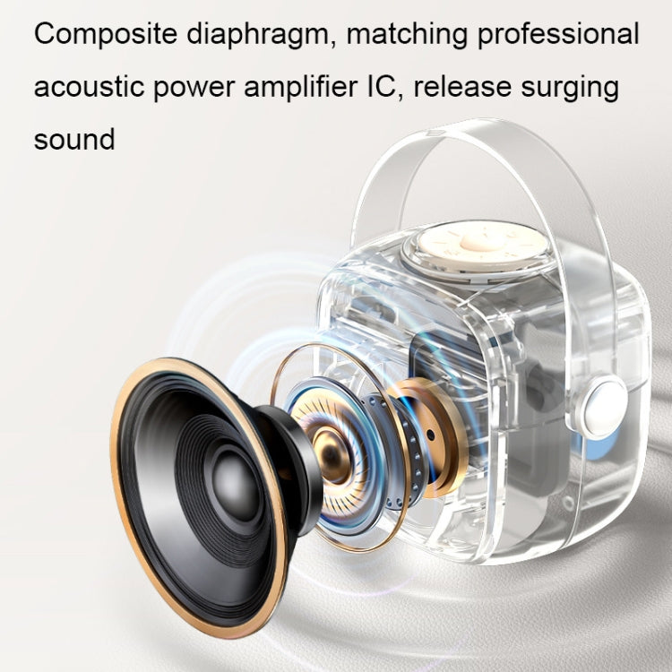 Havit P1 Portable Singing Home Wireless Bluetooth Speaker Microphone Set, Style: Dual-microphone - free shipping - PMC Jewellery - Order now!