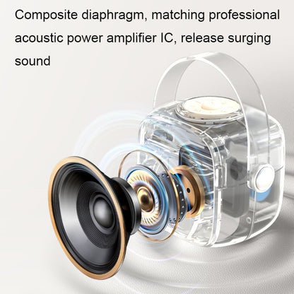 Havit P1 Portable Singing Home Wireless Bluetooth Speaker Microphone Set, Style: Dual-microphone - free shipping - PMC Jewellery - Order now!