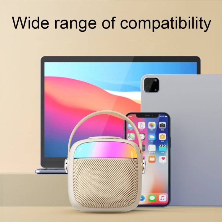 Havit P1 Portable Singing Home Wireless Bluetooth Speaker Microphone Set, Style: Dual-microphone - free shipping - PMC Jewellery - Order now!