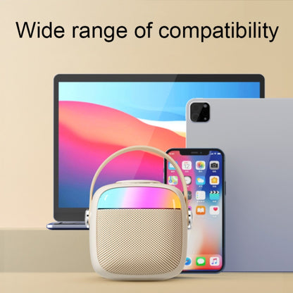Havit P1 Portable Singing Home Wireless Bluetooth Speaker Microphone Set, Style: Dual-microphone - free shipping - PMC Jewellery - Order now!