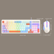 K-Snake Wired E-Sports Keyboard Mouse Mechanical Feel 98 Key Desktop Computer Notebook Keyboard, Style: Keyboard+Mouse (Gray)