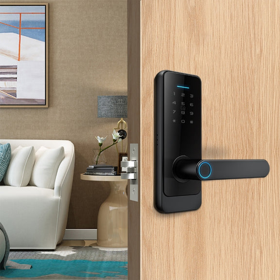 C89 Smart Fingerprint Password Lock Home Indoor Door TUYA System Lock(Black)